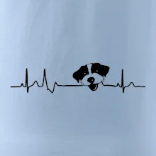 Jack Russell Terriér hrubosrstý Ekg
