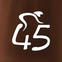 Cyklista slaví pětačtyřicítku (45)