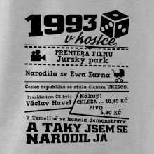 1993 v kostce