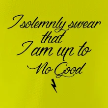 I solemnly swear that I'm up to no good