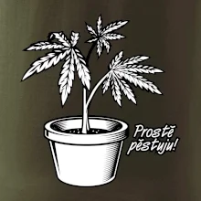 Konopi prostě pěstuju