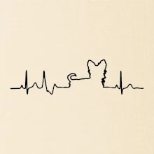 Jorkšírský teriér EKG Jorkšírský teriér EKG