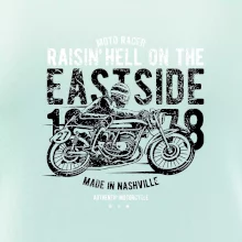 Raisin Hell Moto Racer