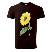 Slunečnice otočená