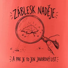 Záblesk naděje