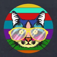 Kočka při barevném západu