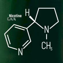 Molekulární struktura Nikotin