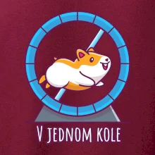 Křeček v jednom kole