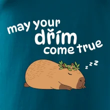 May your dřím come true