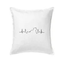 Stafordšírsky bulteriér EKG