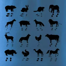 Zvířecí stopy s obrázkem zvířete - stopy zvířat