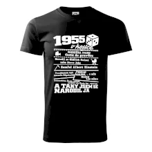 1955 v kostce