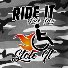 Ride it Like You Stole it Ride it Like You Stole it