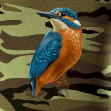 Lednáček kreslený