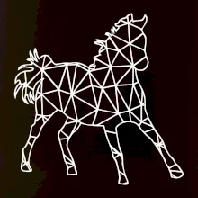 Geometrie - kůň jednobarevná