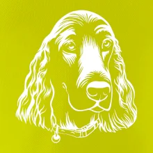 Kokršpaněl - hlava kreslená