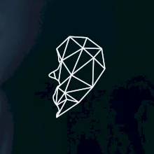 Párovy motiv srdce geometrie - ON