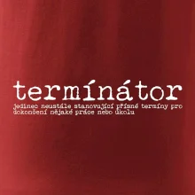 Čeština 2.0 - termínátor