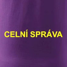 Celní správa