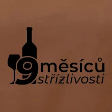 9 měsíců střízlivosti