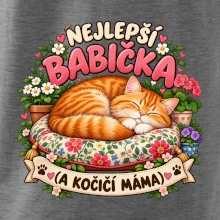 Nejlepší babička a kočičí máma spící zrzavý kocour