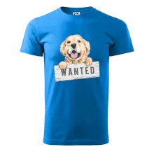 Zlatý retriever - štěně wanted