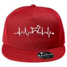 Ekg psí obrys Ekg psí obrys