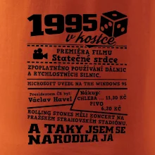 1995 v kostce