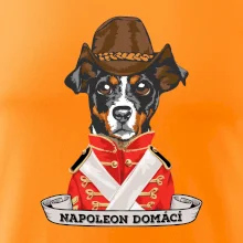 Napoleon domácí pes kříženec
