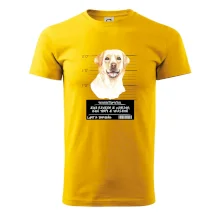 Lump a darebák labrador