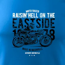 Raisin Hell Moto Racer