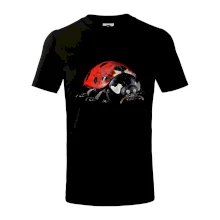 Beruška za ze předu černá fotka