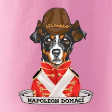 Napoleon domácí pes kříženec