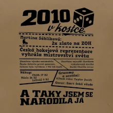 2010 v kostce
