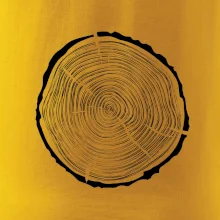 Letokruhy 40 bez věku