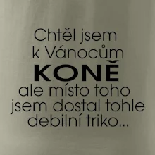 Chtěl jsem dostat k Vánocům koně