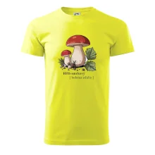 Hřib smrkový - Boletus edulis kreslený