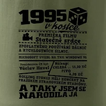1995 v kostce