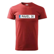 SPZ Pavel 30