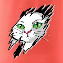 Kočka v roztrženém triku