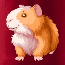 Morče - kreslené, bílo oranžové