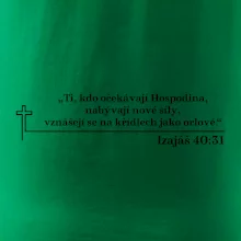 Citáty z bible - Izajáš 40:31