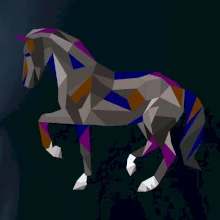 Kůň geometrie barevný