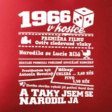 1966 v kostce