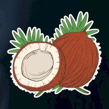 Kokos Kokos