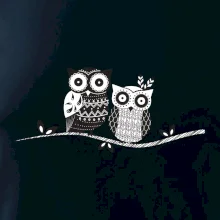 Dvě sovy abstraktní