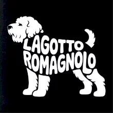 Lagotto romagnolo nápis v těle