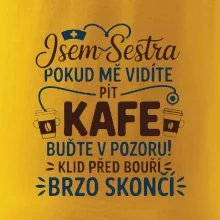 Jsem sestra  - Klid před bouří
