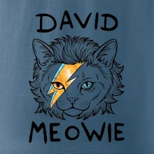 David Meowie