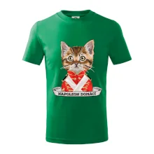 Napoleon domácí kočka